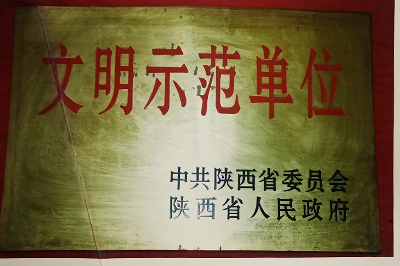 10、省級-陜西省文明示范單位.jpg
